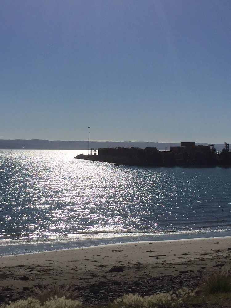Breakwater Apartments Napier Dış mekan fotoğraf